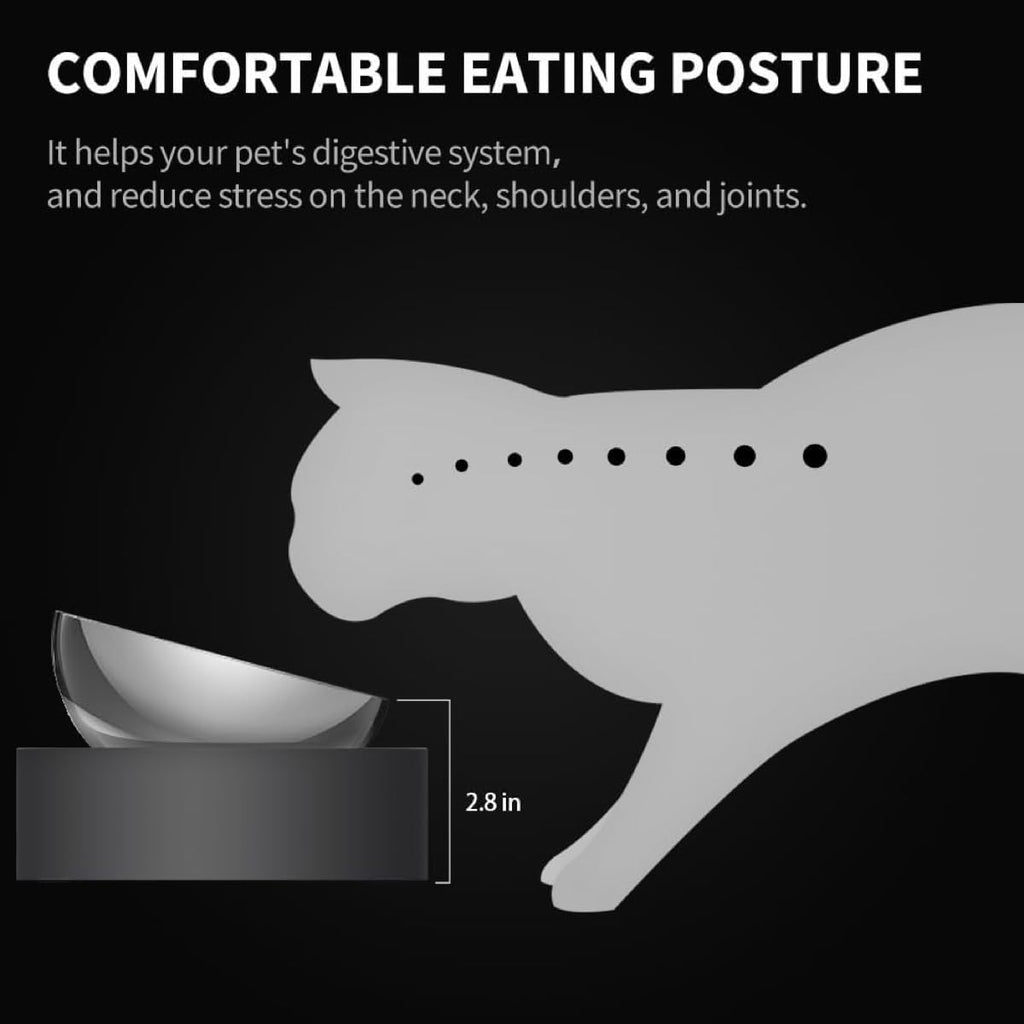 Elevated Dog Cat Bowl with 2 Stainless Steel Bowls V963