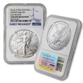 1 oz American Silver Eagle Coin V549