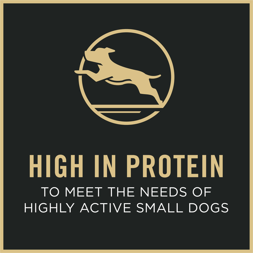 Chicken & Rice Small Breed Dry Dog Food G240