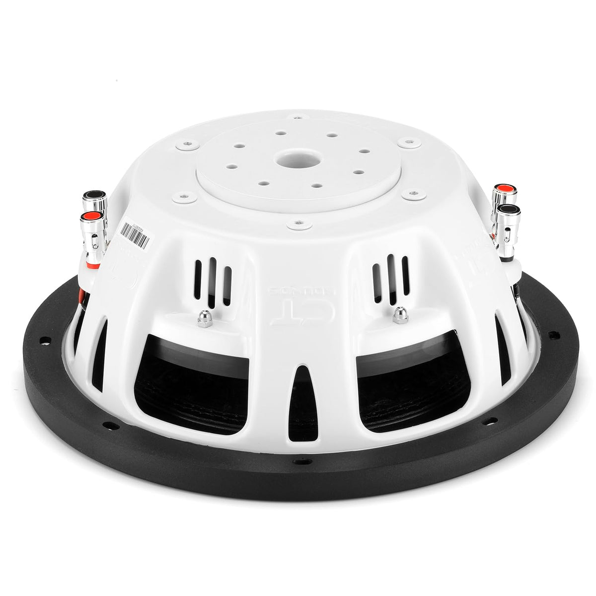 10” Dual 4-Ohm 1000-Watt Shallow Mount Car Subwoofer B21084