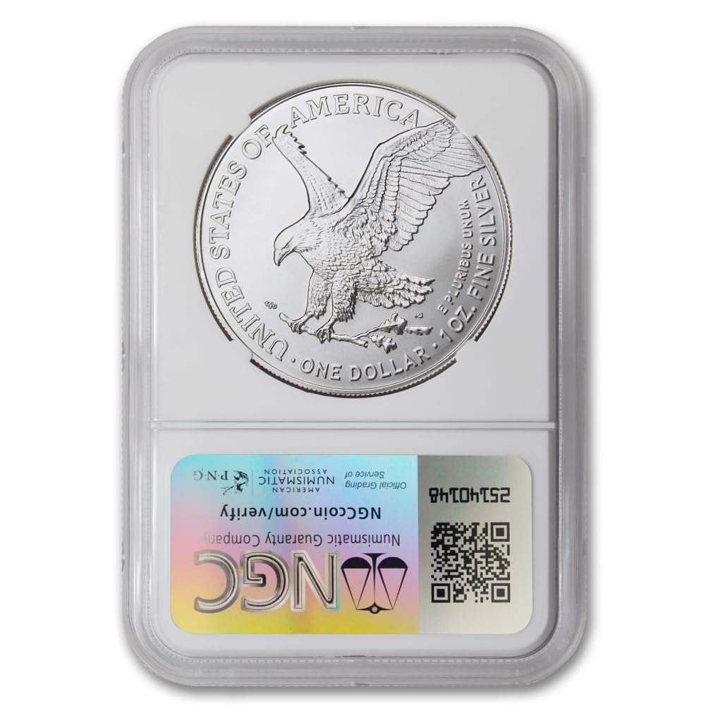 1 oz American Silver Eagle Coin V549