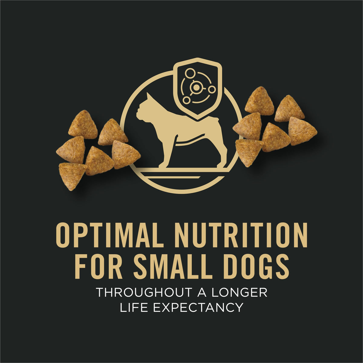 Chicken & Rice Small Breed Dry Dog Food G240
