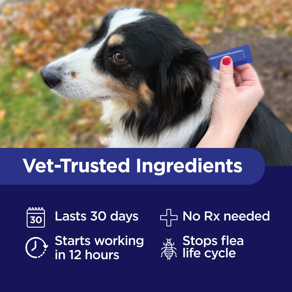 Flea and Tick Prevention for Extra Large Dogs 55+ lbs G9908