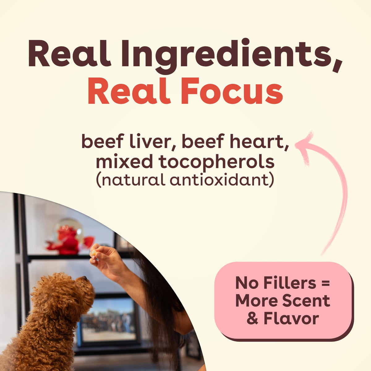 Freeze Dried Training Treats for Dogs & Puppies Beef Liver 4 oz C9120