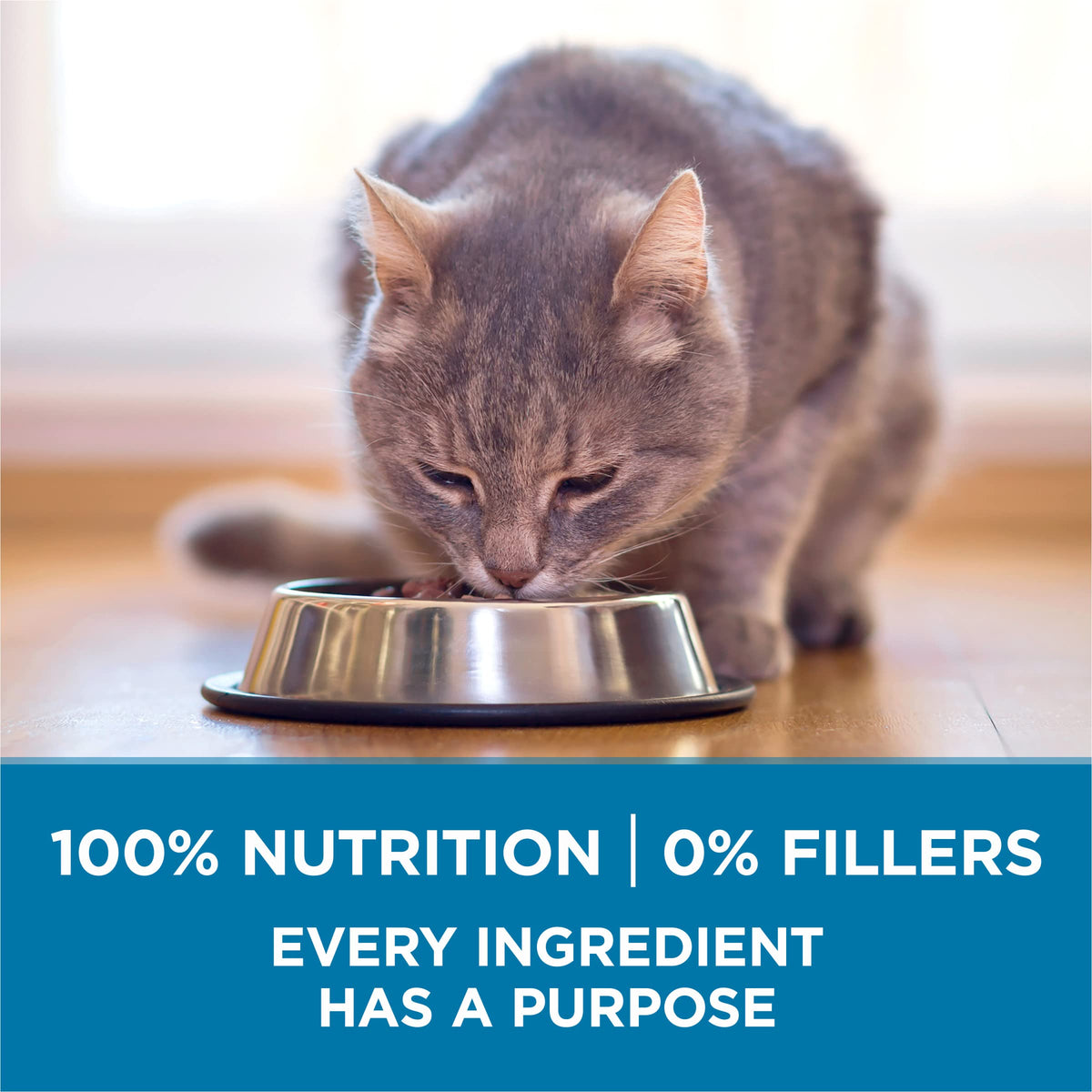 Senior Dry Cat Food 3.5 lb Bag I25395