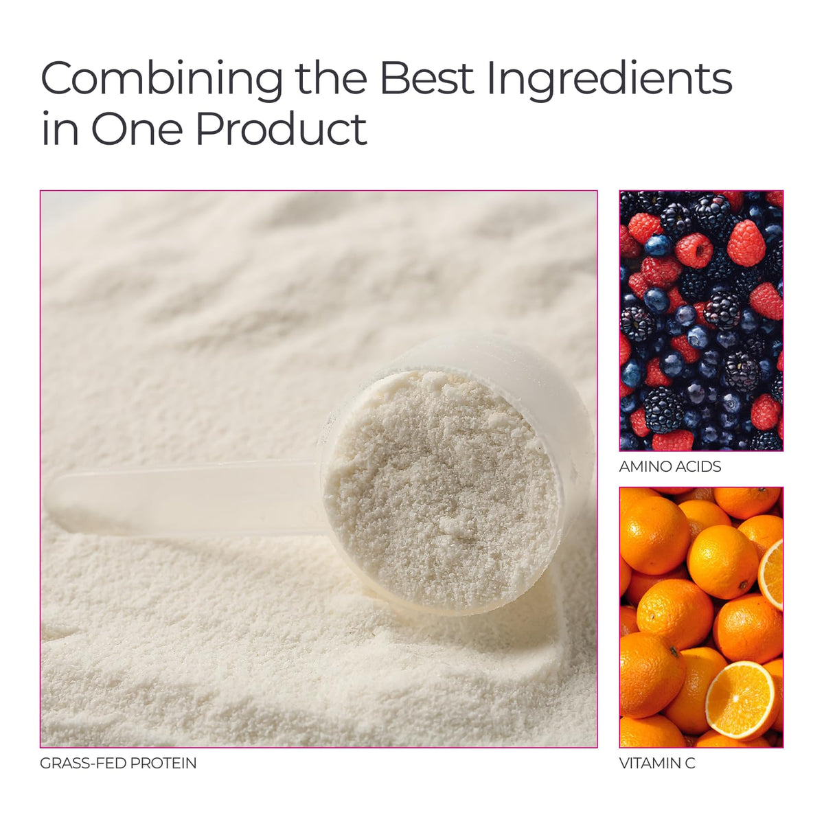 Unflavored Collagen Peptides Powder Type I & III J7157