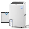 Dehumidifier with Pump Y343355