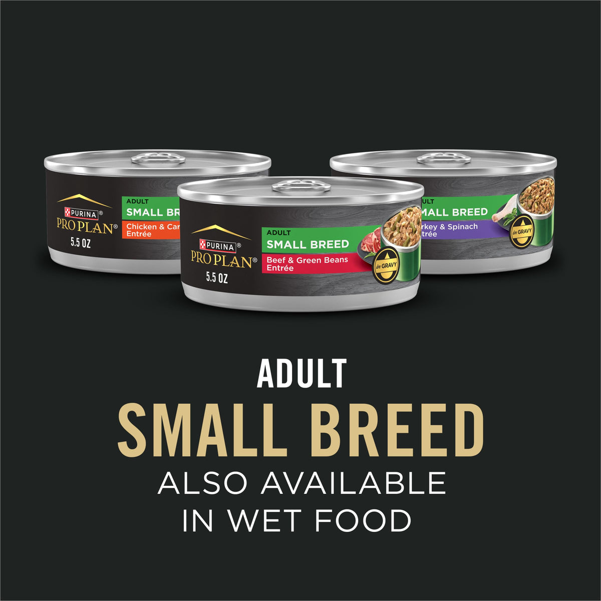 Chicken & Rice Small Breed Dry Dog Food G240