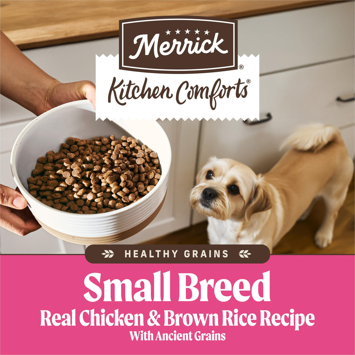Dry Dog Food for Small Dogs 4 lb Bag Y59351