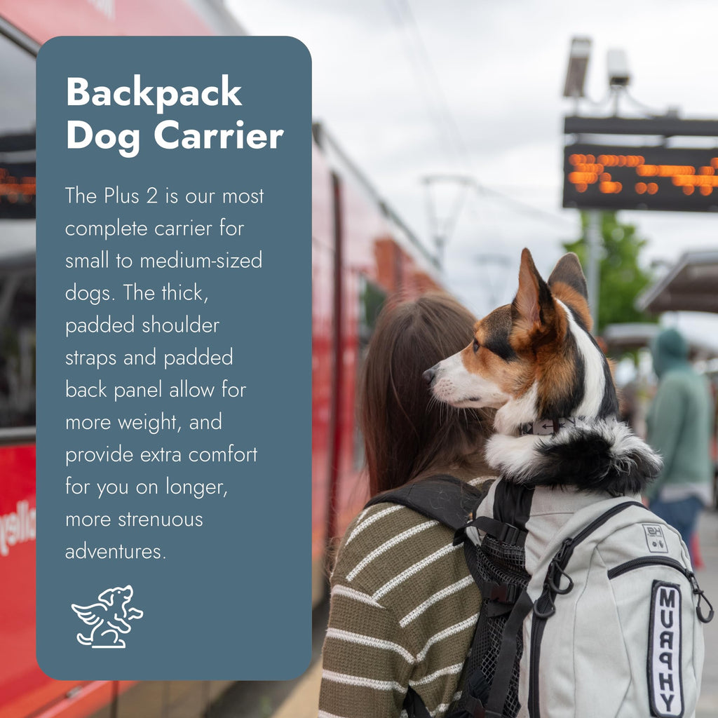 Small Light Grey Backpack-Style Dog Carrier U316290