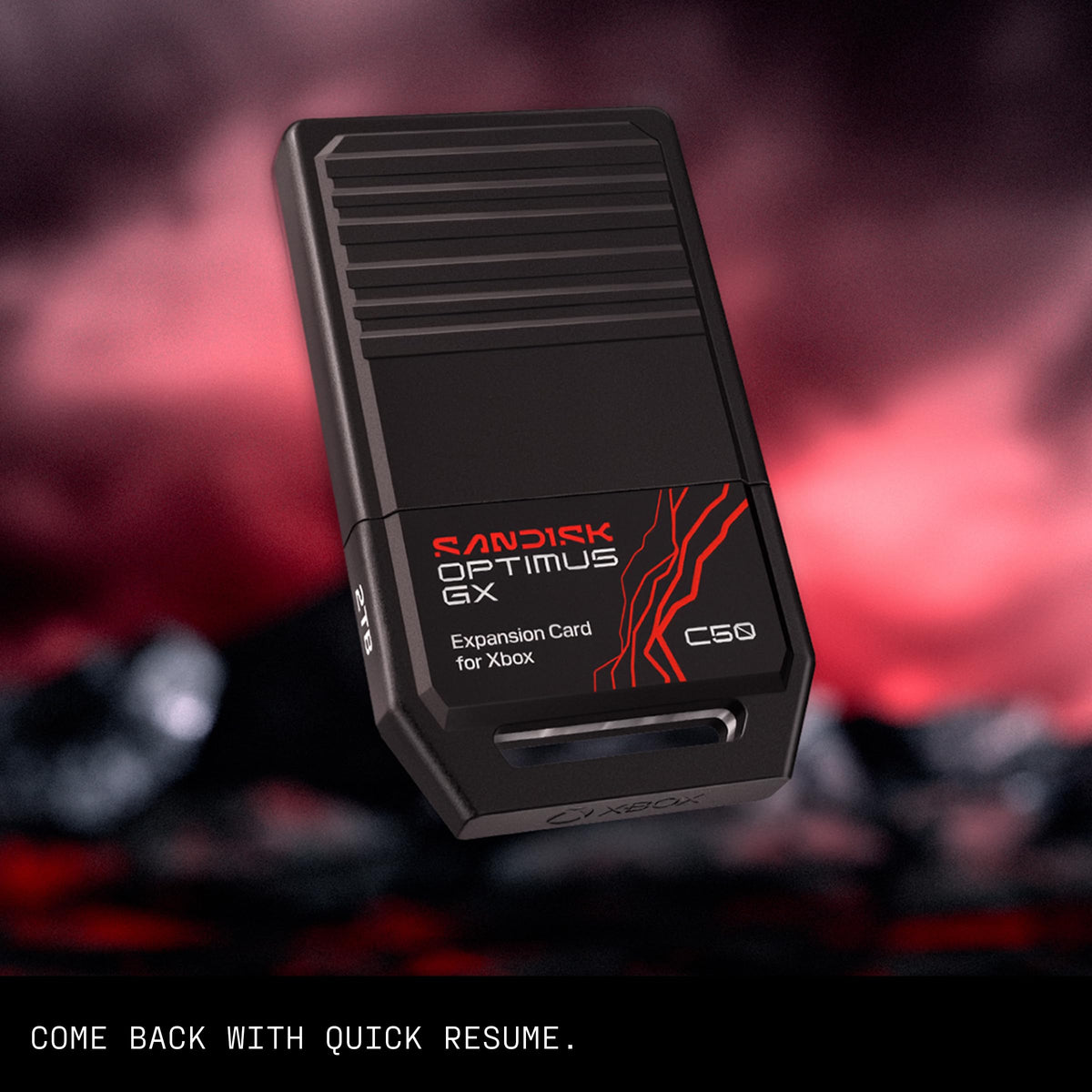 1TB Storage Expansion Card X202