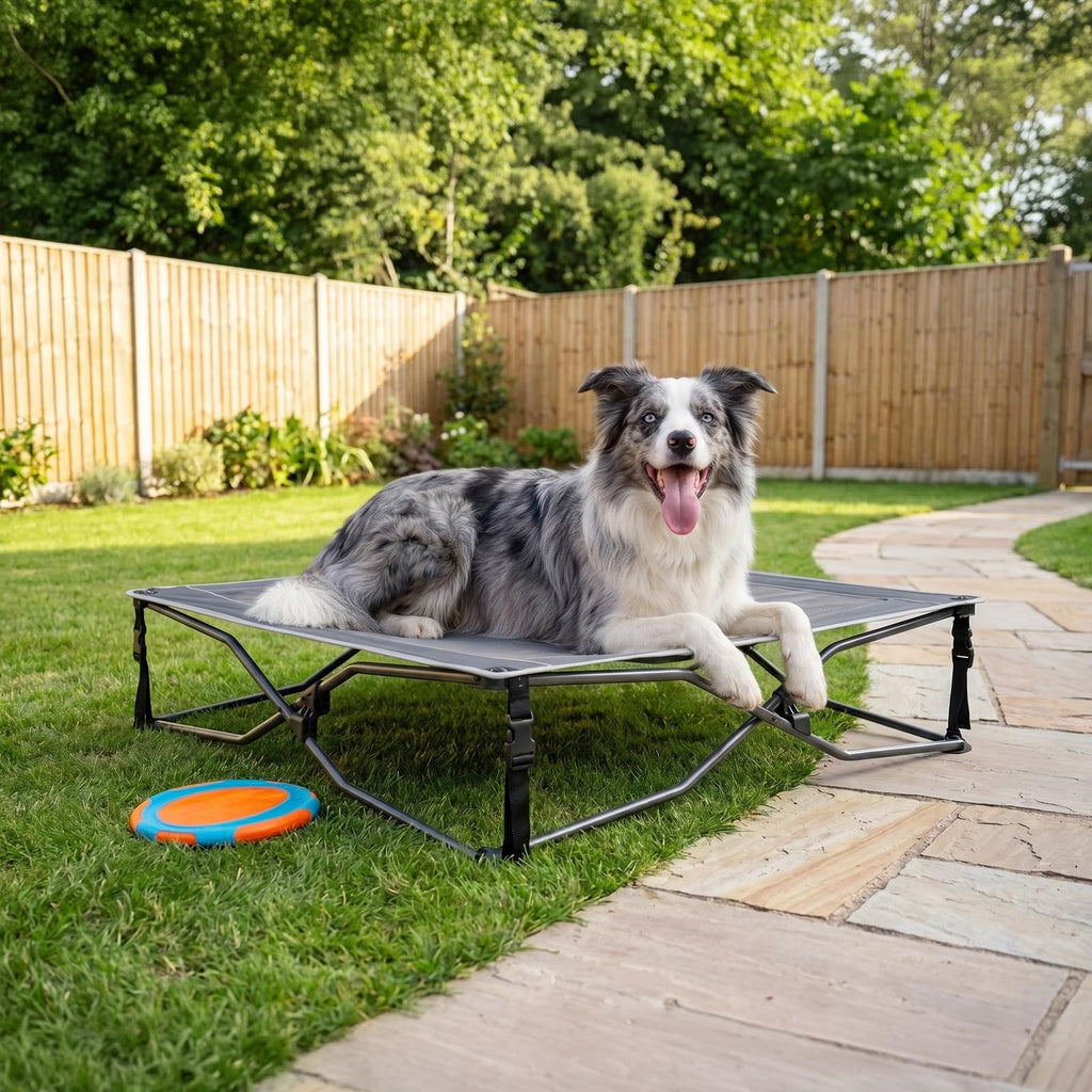 Elevated Cooling Dog Bed with Breathable Mesh K908095