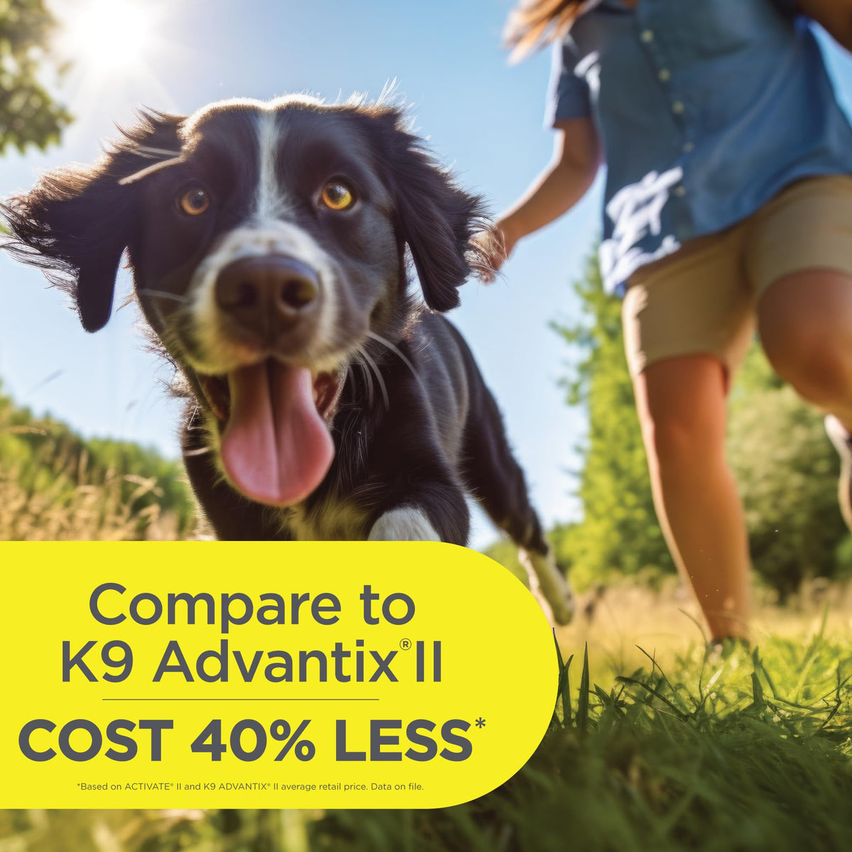 Flea and Tick Prevention for Extra Large Dogs 55+ lbs G9908