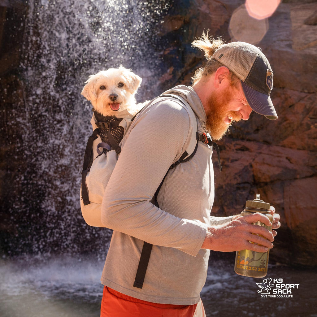 Small Light Grey Backpack-Style Dog Carrier U316290