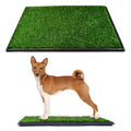 Dog Grass Pad with Tray 20 x 25 B87869