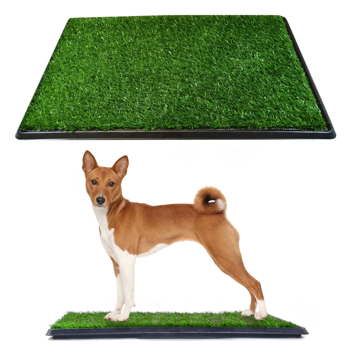 Dog Grass Pad with Tray 20 x 25 B87869