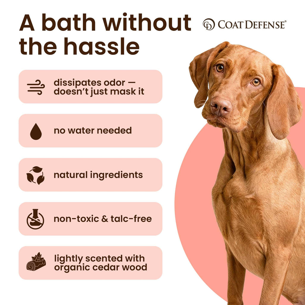 9oz Waterless Dog Shampoo & Pet Deodorizer H13679