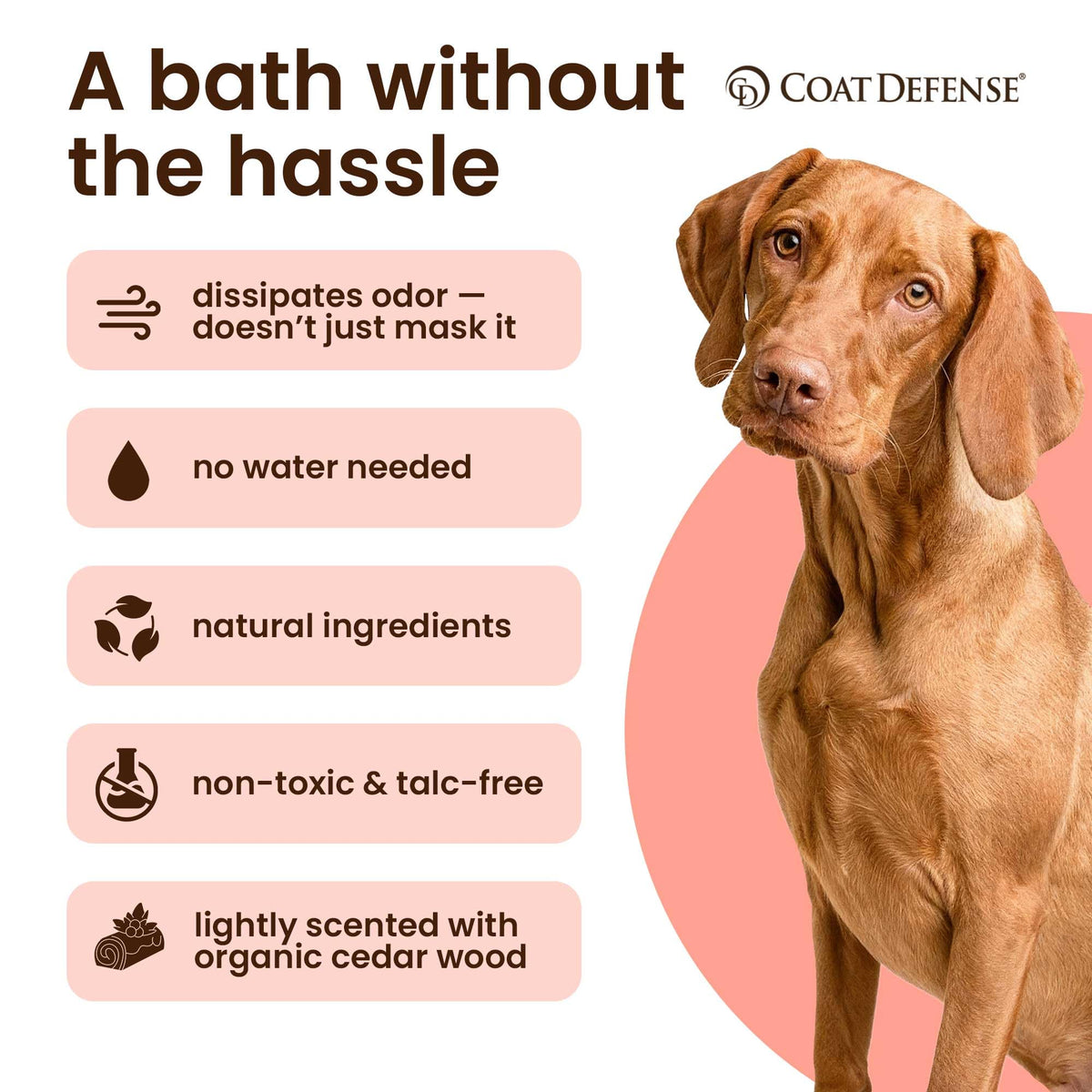 9oz Waterless Dog Shampoo & Pet Deodorizer H13679