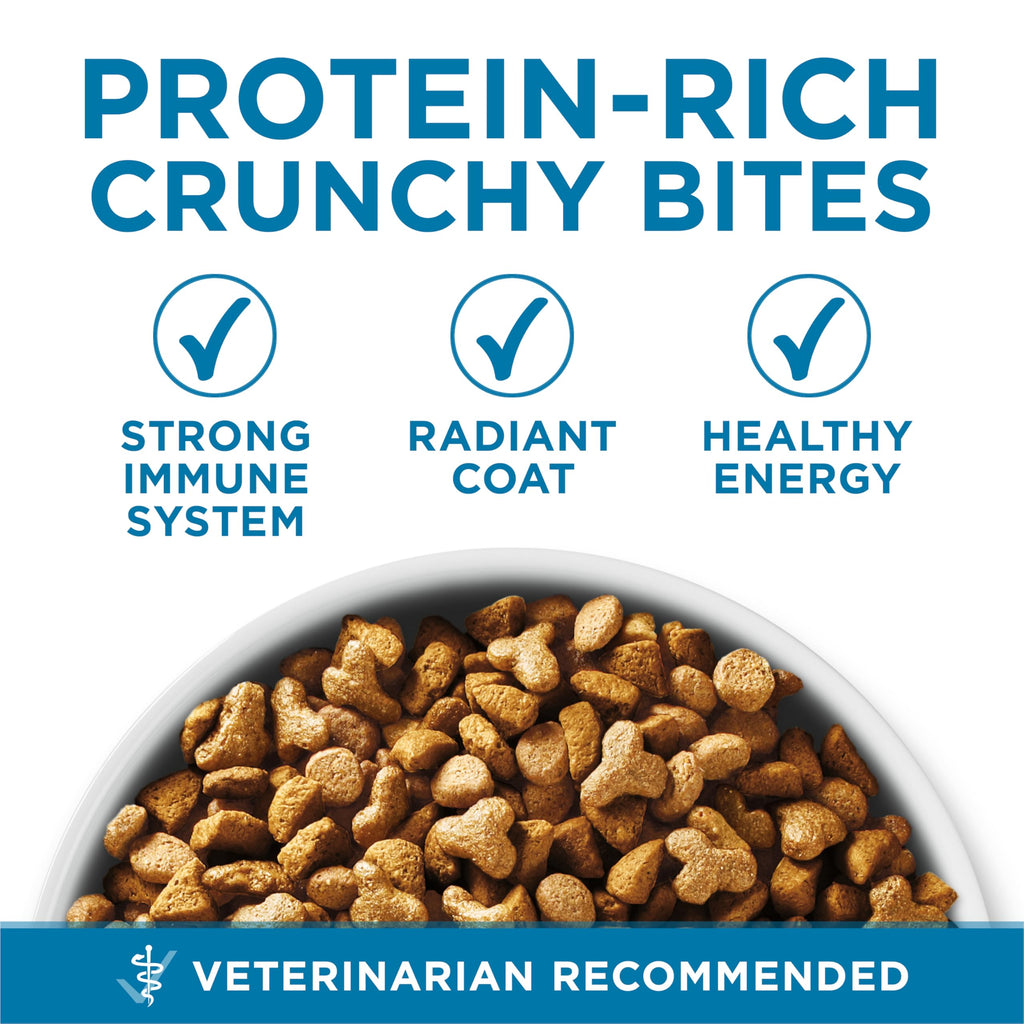 Senior Dry Cat Food 3.5 lb Bag I25395