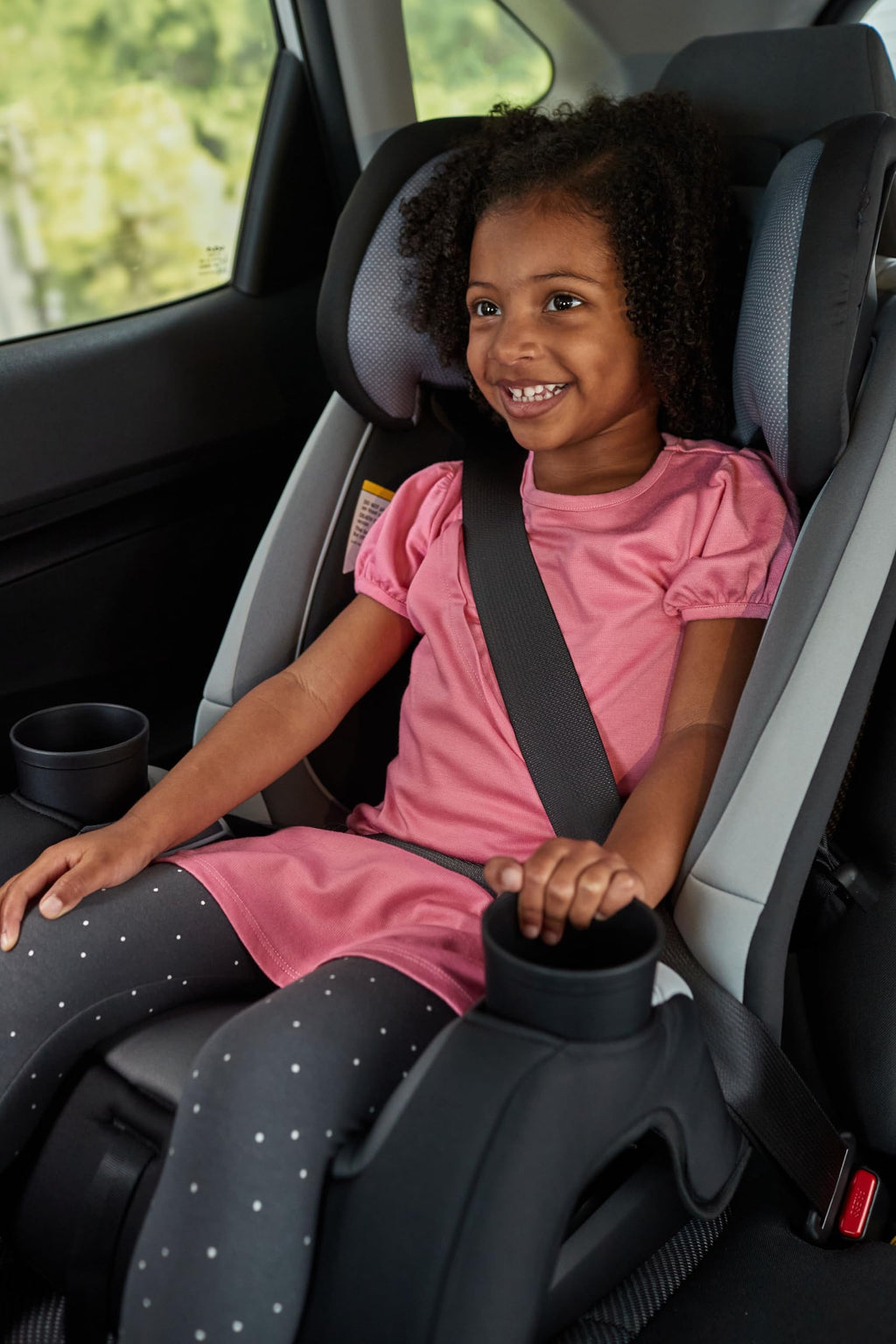 3-in-1 Convertible Car Seat, 5-100 lbs R824