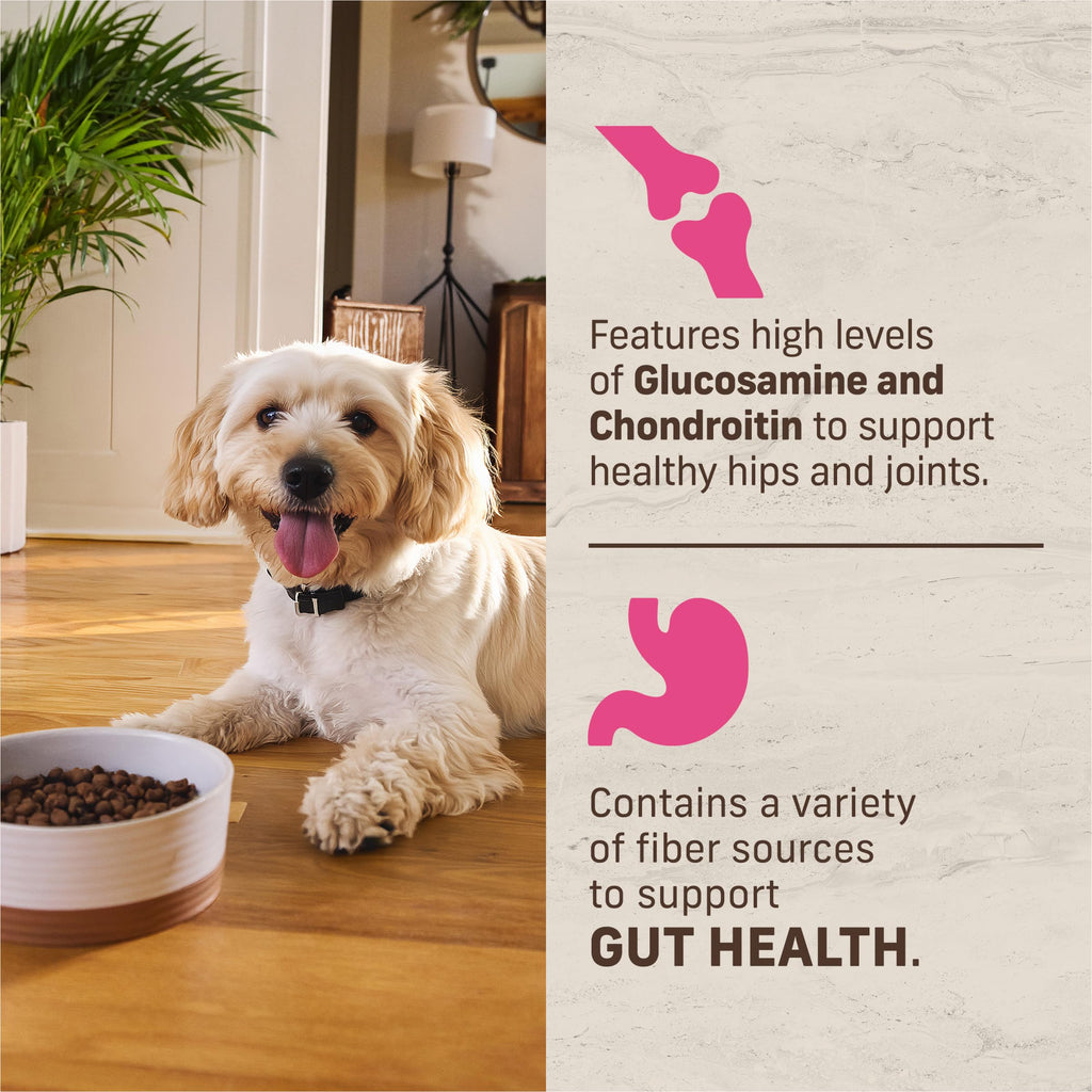 Dry Dog Food for Small Dogs 4 lb Bag Y59351