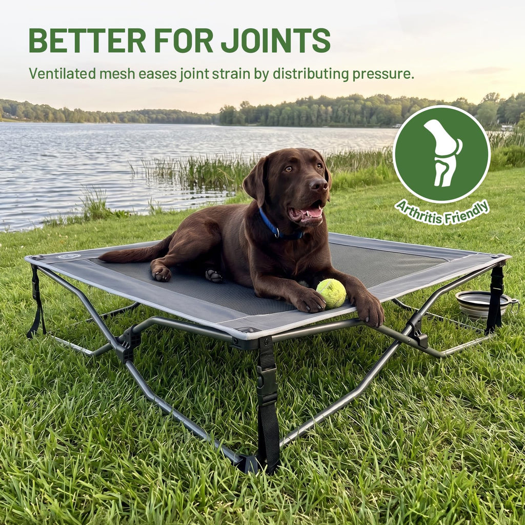 Elevated Cooling Dog Bed with Breathable Mesh K908095