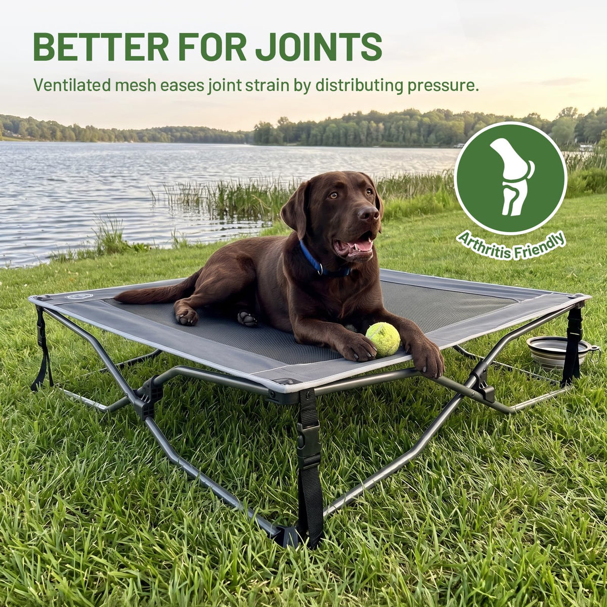 Elevated Cooling Dog Bed with Breathable Mesh K908095