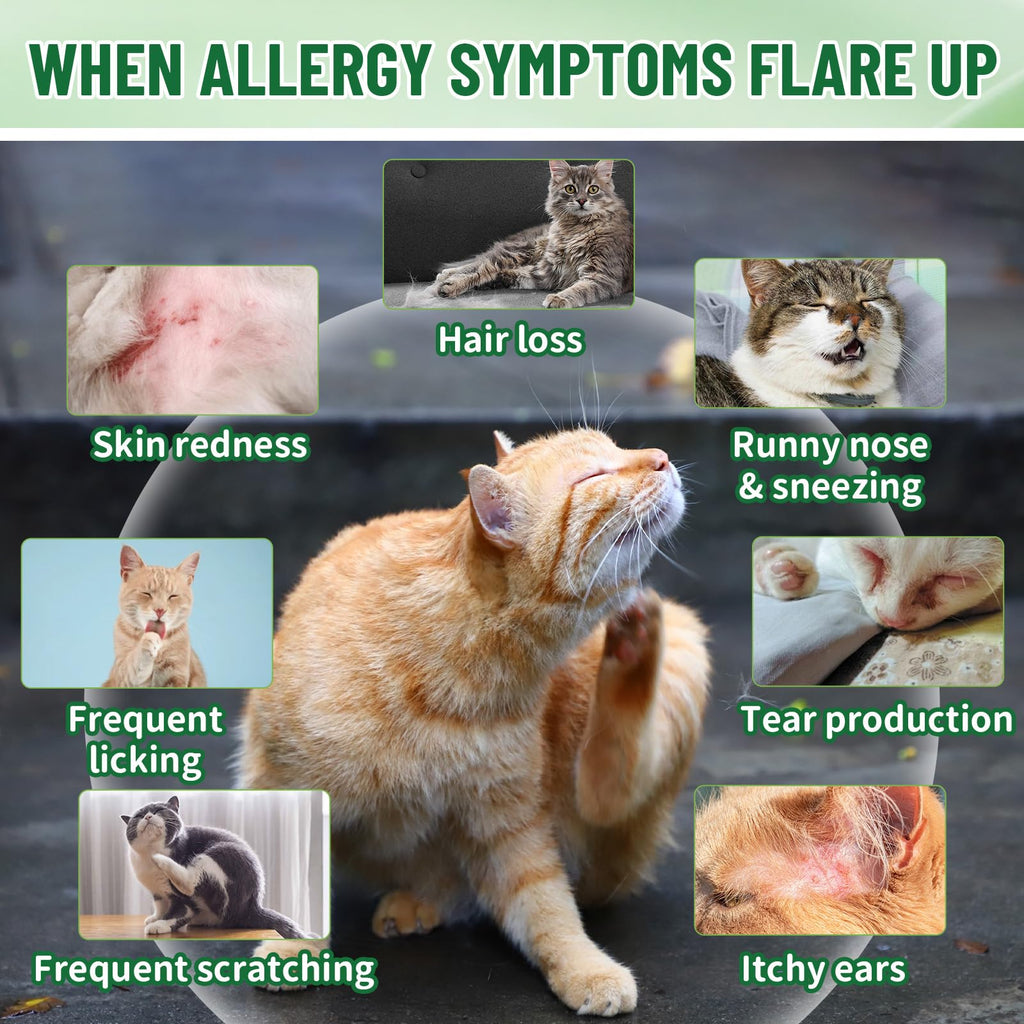 Cat Allergy & Hairball Relief Drops 60ml T12444