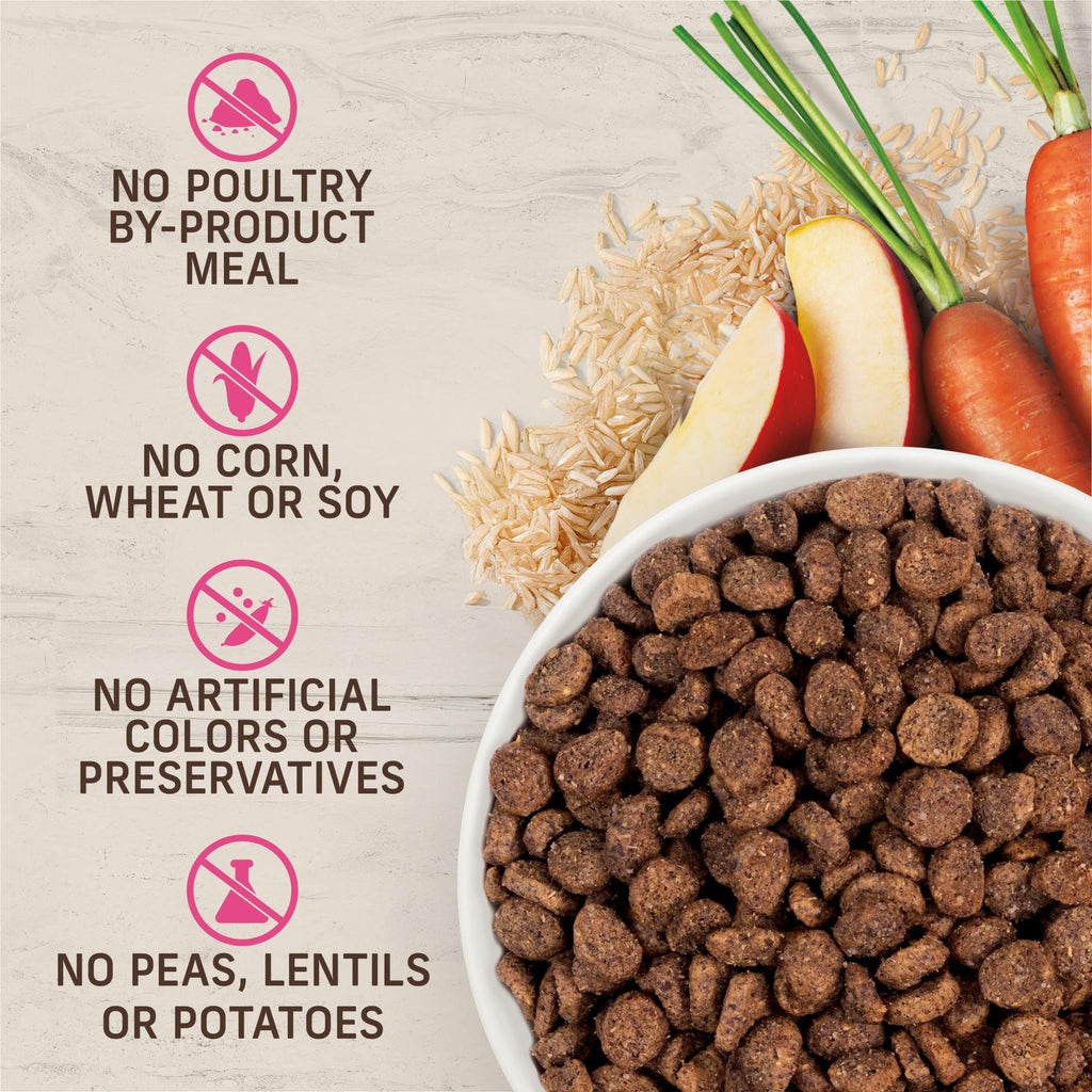 Dry Dog Food for Small Dogs 4 lb Bag Y59351