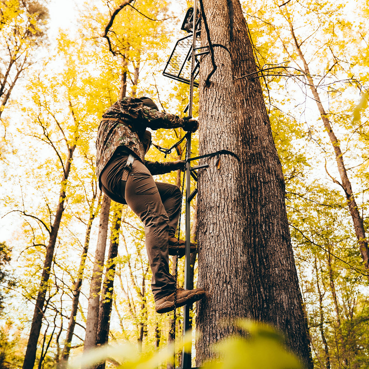 20’ Tree Climbing Stick M6120