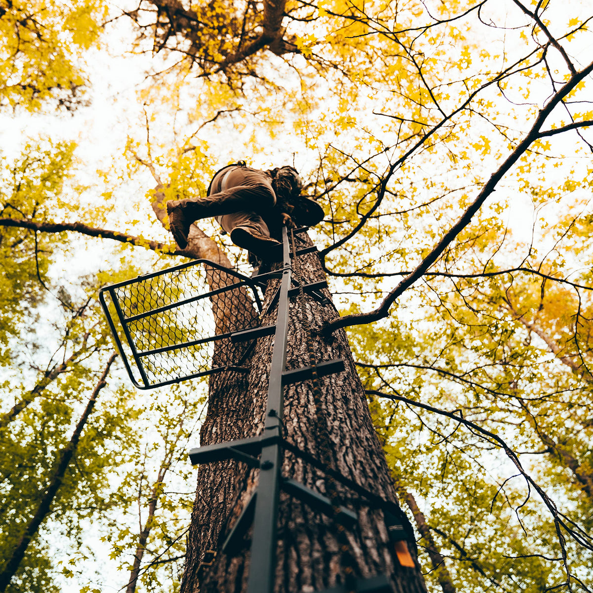 20’ Tree Climbing Stick M6120